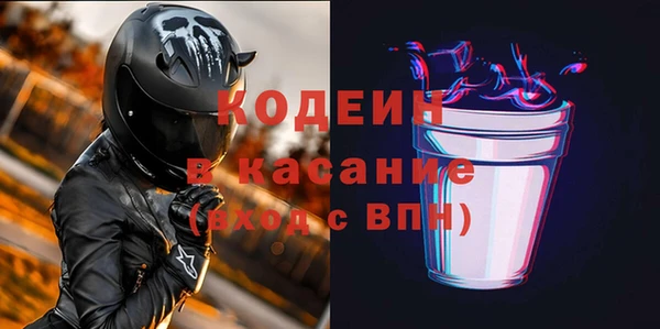 крисы Козельск