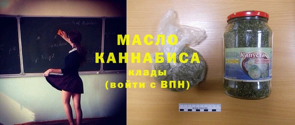 крисы Козельск