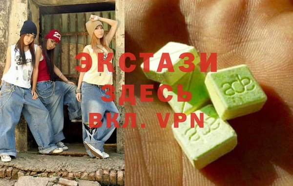крисы Козельск