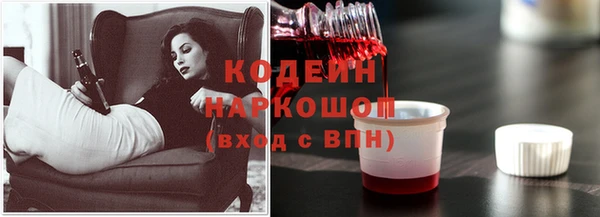 хмурый Кодинск