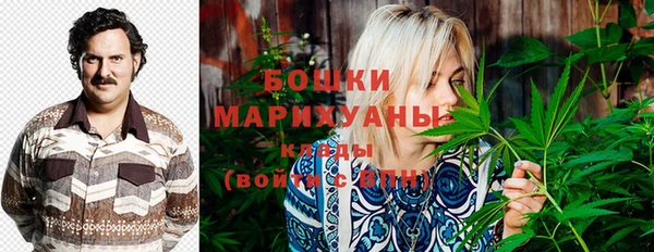 крисы Козельск