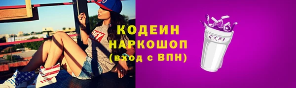 крисы Козельск