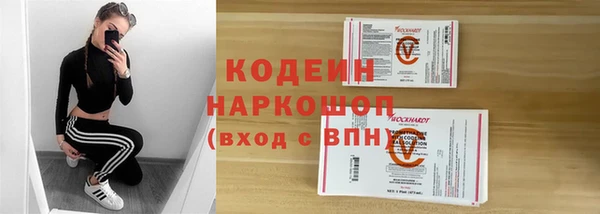 крисы Козельск