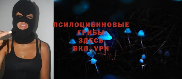 хмурый Козловка