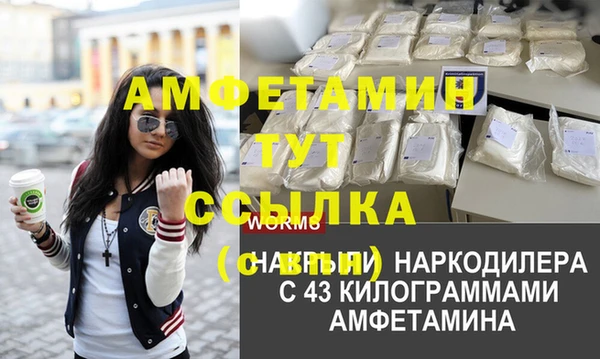 крисы Козельск