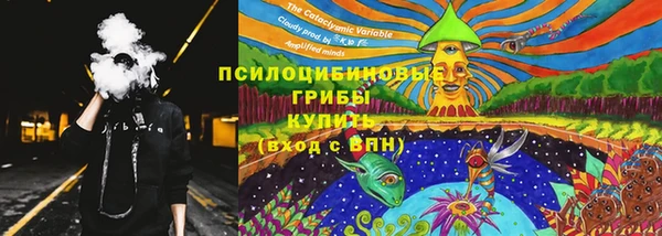 хмурый Козловка
