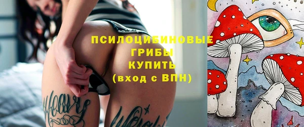 хмурый Кодинск