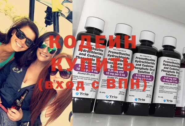 хмурый Кодинск