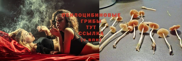 крисы Козельск