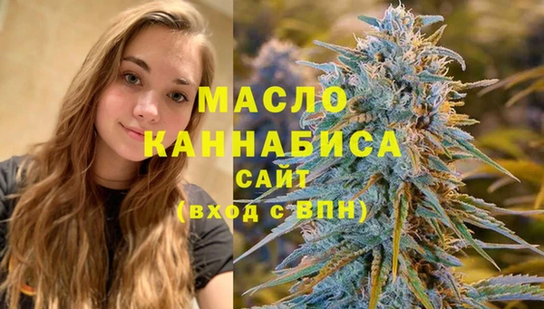 крисы Козельск