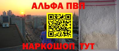 герыч Кингисепп