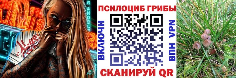 Галлюциногенные грибы GOLDEN TEACHER  Медногорск 