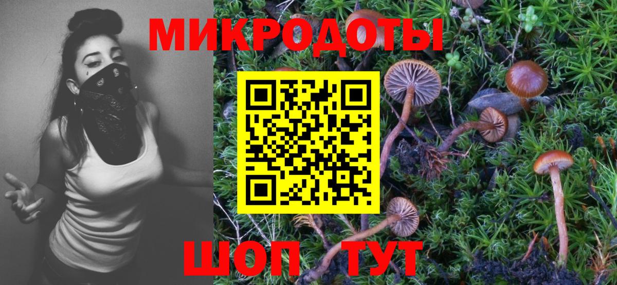 Медногорск  Галлюциногенные грибы ЛСД  Вход с VPN 