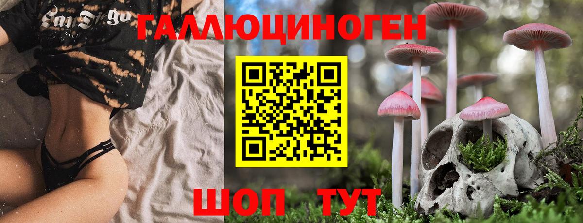 Галлюциногенные грибы Magic Shrooms Медногорск